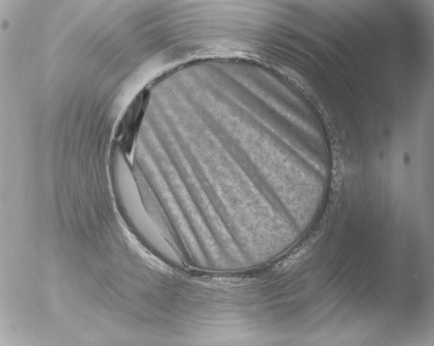 X0000051880942200507151909