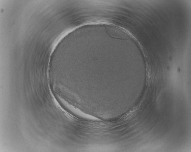 X0000051880943200507151909