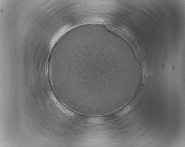 X0000051880944200507151909