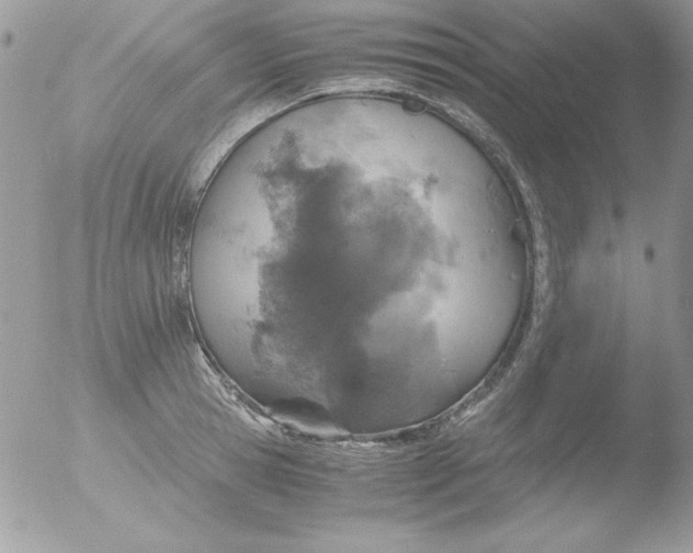 X0000051880945200507151909