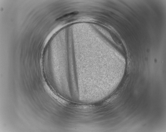 X0000051880947200507151909