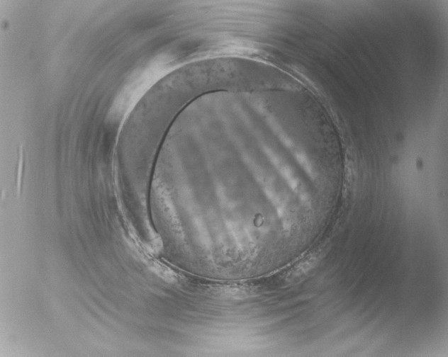 X0000051880948200507151909