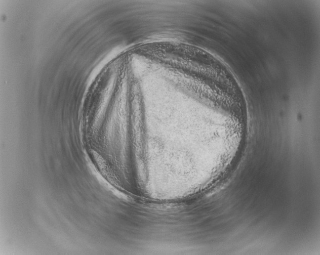 X0000051880949200507151909