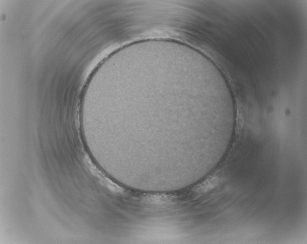 X0000051880950200507151909