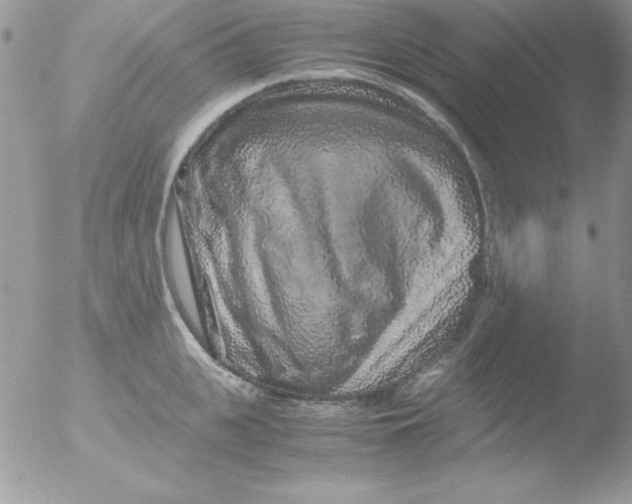 X0000051880951200507151909