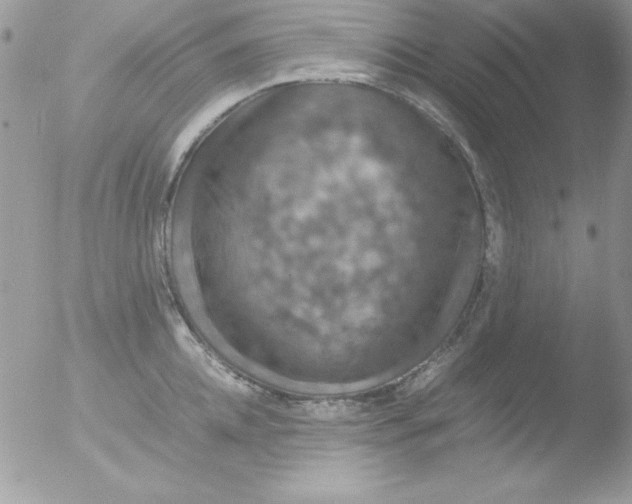 X0000051880952200507151909