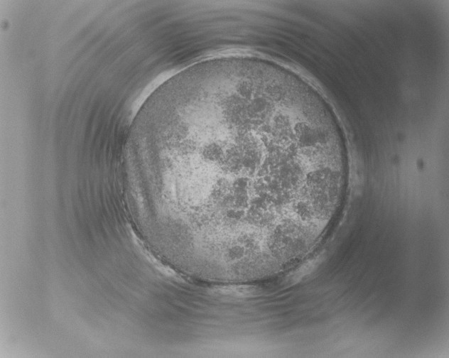 X0000051880953200507151909