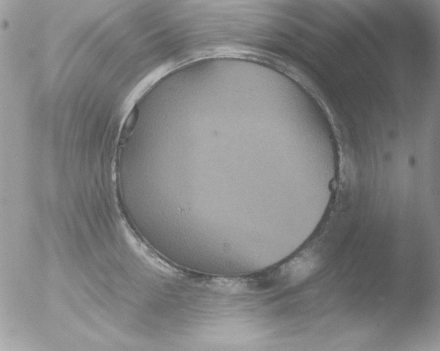 X0000051880954200507151909