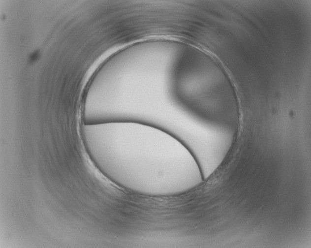 X0000051880955200507151909