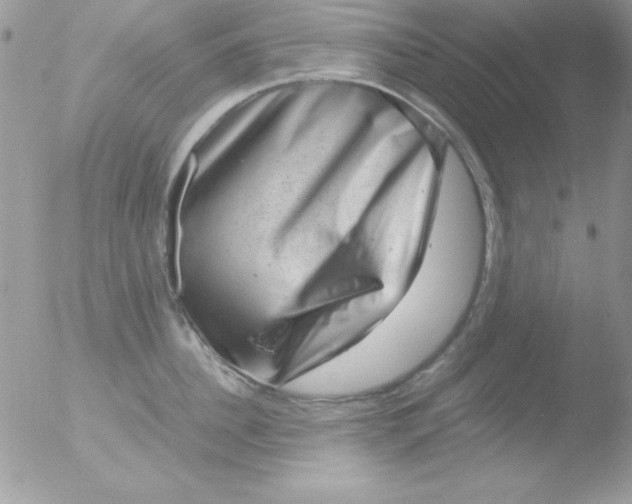 X0000051880956200507151909