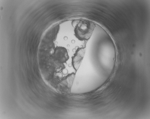 X0000051880957200507151909