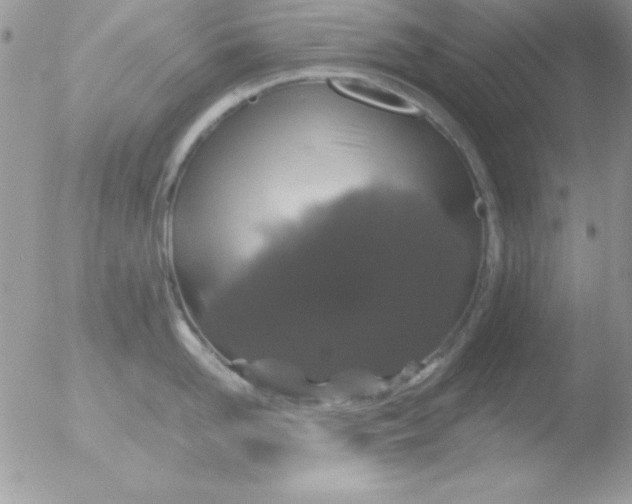 X0000051880958200507151909