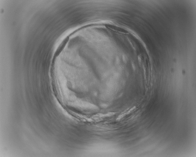 X0000051880959200507151909