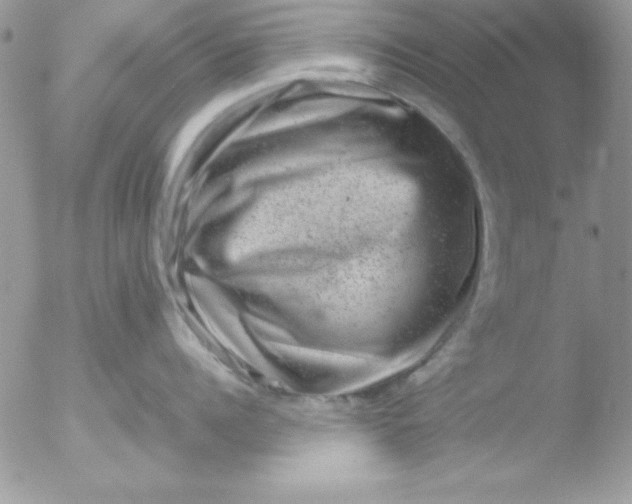 X0000051880960200507151909