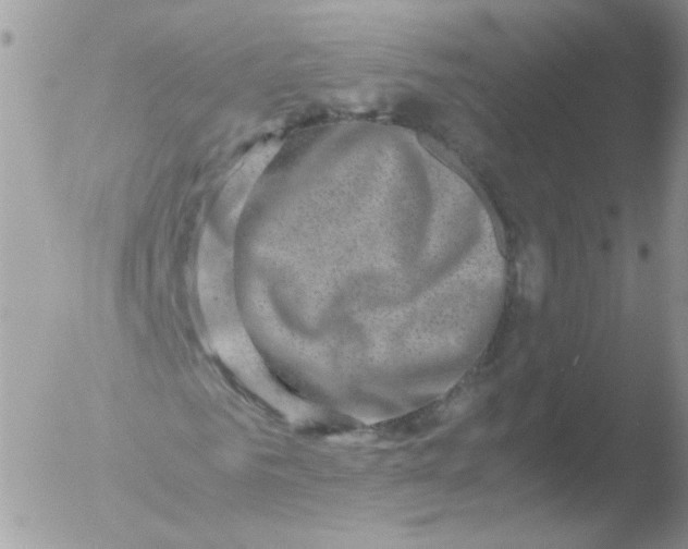 X0000051880961200507151908