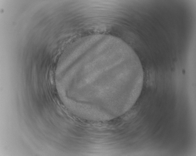 X0000051880962200507151908