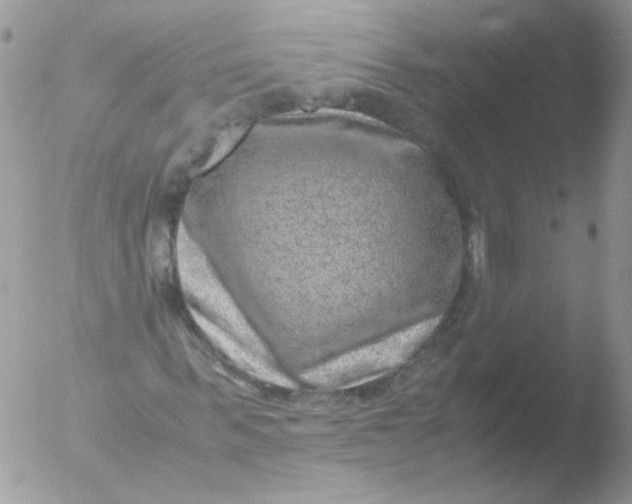 X0000051880963200507151908