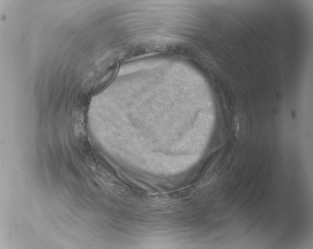 X0000051880964200507151908