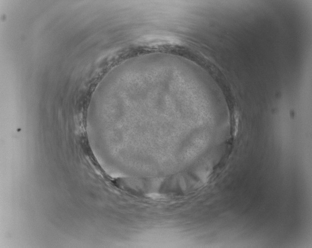 X0000051880965200507151908