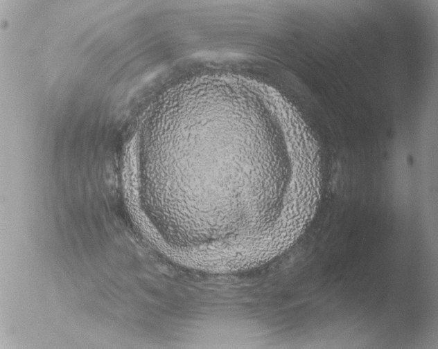 X0000051880966200507151908