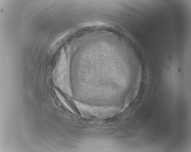 X0000051880967200507151908