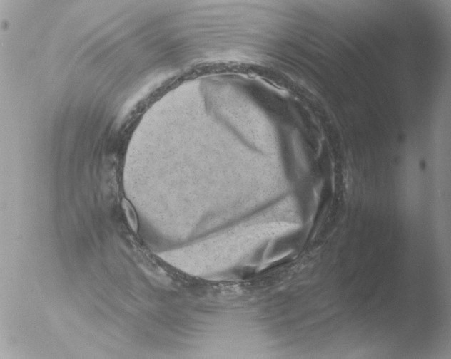 X0000051880968200507151908