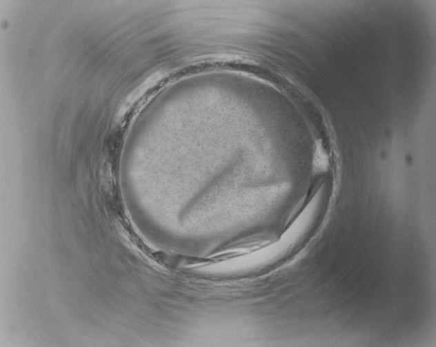 X0000051880969200507151908