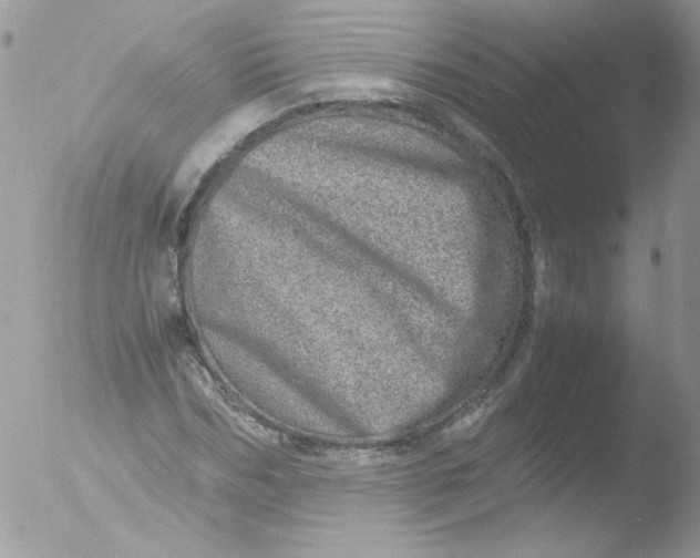 X0000051880970200507151908