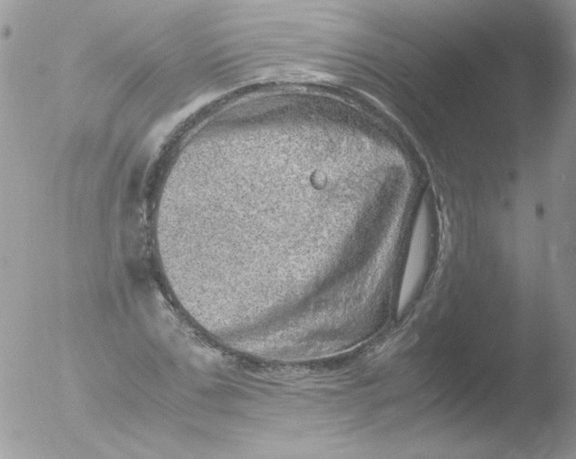 X0000051880971200507151908