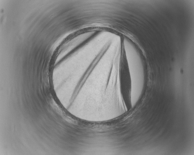 X0000051880972200507151908