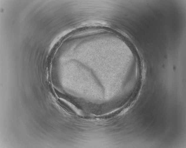 X0000051880973200507151908