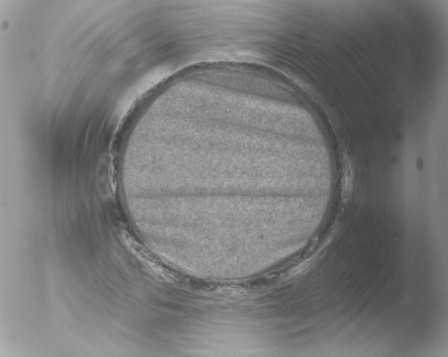 X0000051880974200507151908