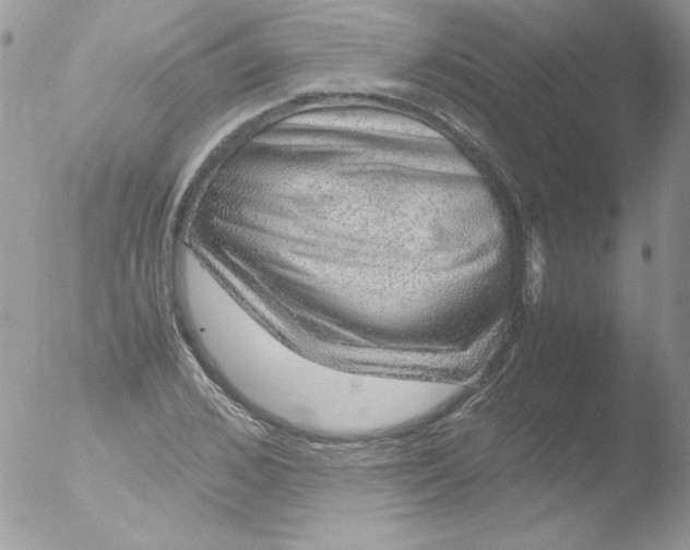 X0000051880976200507151908