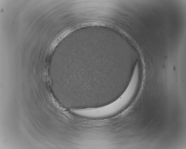 X0000051880977200507151908