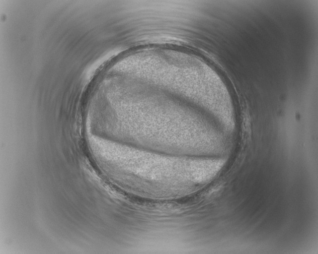 X0000051880979200507151908