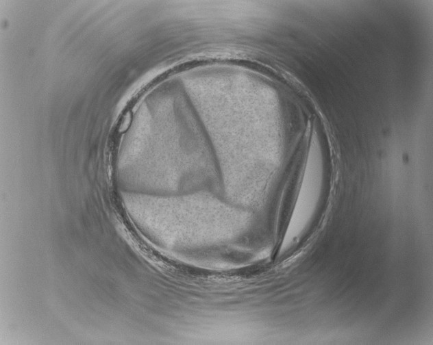 X0000051880981200507151908