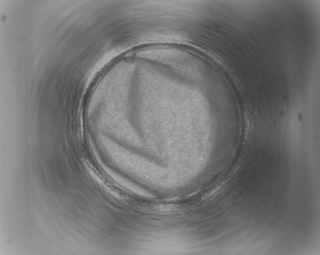 X0000051880982200507151908