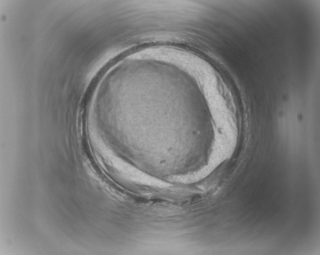 X0000051880983200507151908