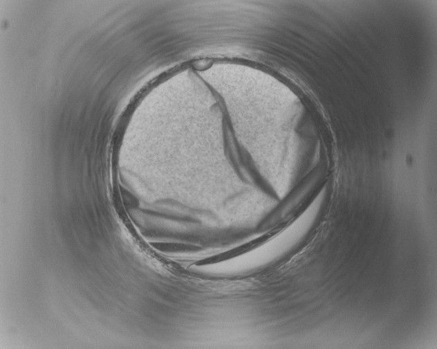 X0000051880984200507151908