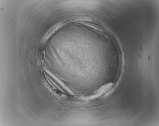 X0000051880985200507151908