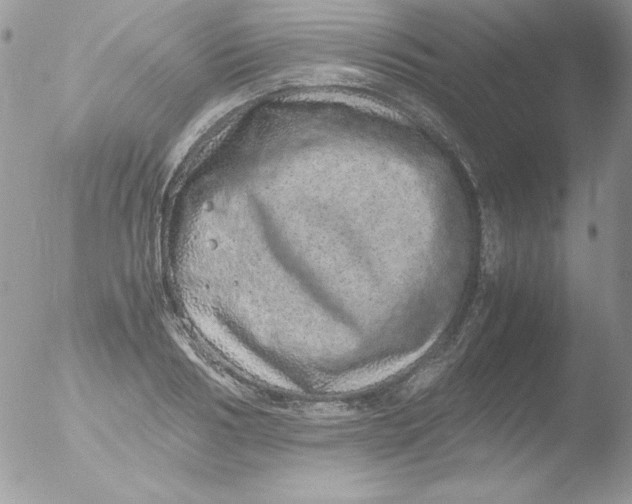 X0000051880986200507151908