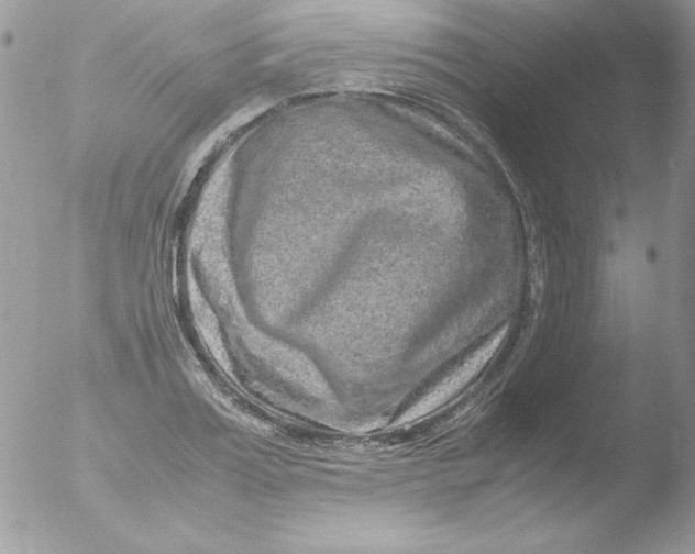 X0000051880987200507151908