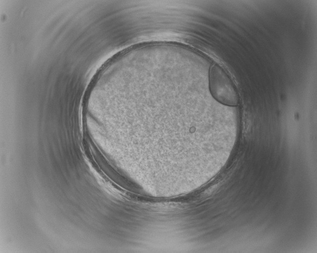 X0000051880988200507151908