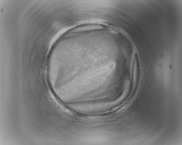 X0000051880989200507151908