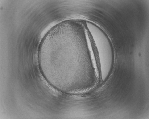 X0000051880990200507151908