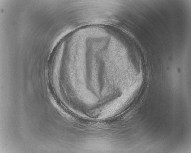 X0000051880991200507151908