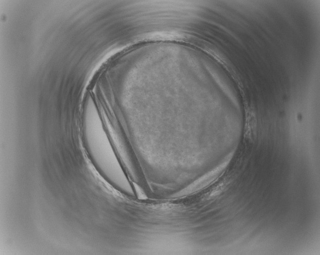 X0000051880992200507151908