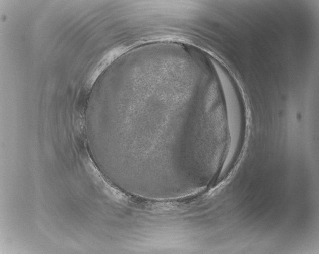 X0000051880993200507151908