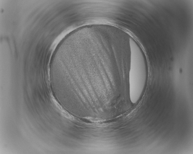 X0000051880996200507151907