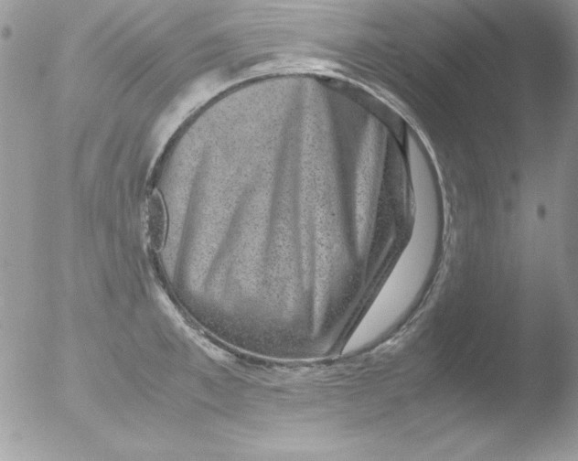 X0000051880997200507151907